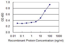 CTLA4 / CD152 Antibody (clone 2F1)