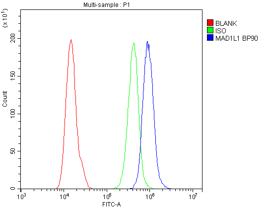 MAD1L1 / MAD1 Antibody (aa362-632)