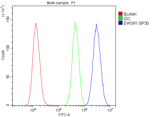 EWSR1 / EWS Antibody (aa369-399)