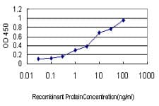 Monoclonal Mouse anti-Human GCG / Glucagon Antibody (clone 2D3-2B11, WB)