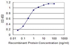 CACNA1C / Cav1.2 Antibody (clone 4D10)