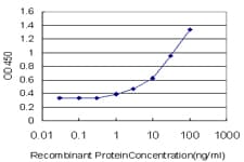 Monoclonal Mouse anti-Human PRKAA1 / AMPK Alpha 1 Antibody (clone 4D9, WB)