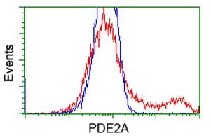 PDE2A Antibody (clone OTI1G9, Carrier-free)