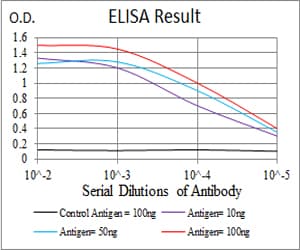 SSH1 Antibody (clone 6C11G9)