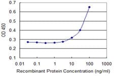 Monoclonal Mouse anti-Human DDX11 / CHLR1 Antibody (clone 3C1, IHC, WB)