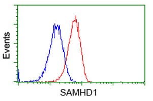 SAMHD1 Antibody (clone OTI1F9, Carrier-free)