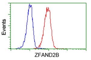 ZFAND2B Antibody (clone OTI1G10)