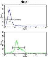 DTX4 Antibody (aa56-83)