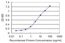 ING3 Antibody (clone 2D8)