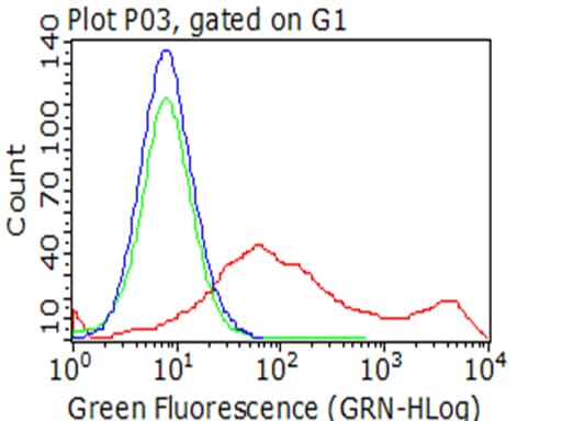 HAVCR2 / TIM-3 Antibody (clone OTI12C5)