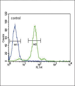 IHC-plus™ Polyclonal Rabbit anti-Human FOLR1 / Folate Receptor Alpha Antibody (IHC, WB)