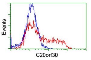 TMEM230 Antibody (clone OTI1B4)