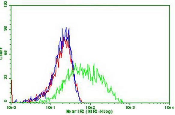 PDCD1 / CD279 / PD-1 Antibody (clone OTI26F7)