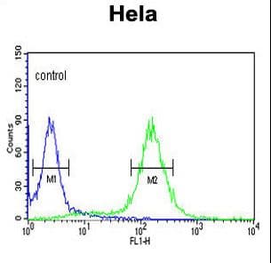 Polyclonal Rabbit anti-Human MPST Antibody (aa24-53, WB)