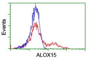 ALOX15 / 15-Lipoxygenase Antibody (clone 7H6, Carrier-free)