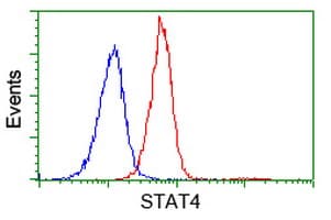 STAT4 Antibody (clone OTI4H6)