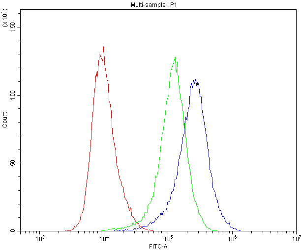 CD5 Antibody