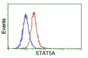 STAT5A Antibody (clone OTI3D2)