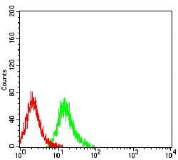 TNFRSF12A / TWEAK Receptor Antibody (clone 5C9B4)