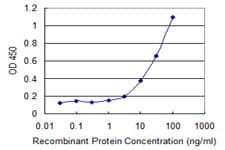 SGCA / DAG2 Antibody (clone 3C4)
