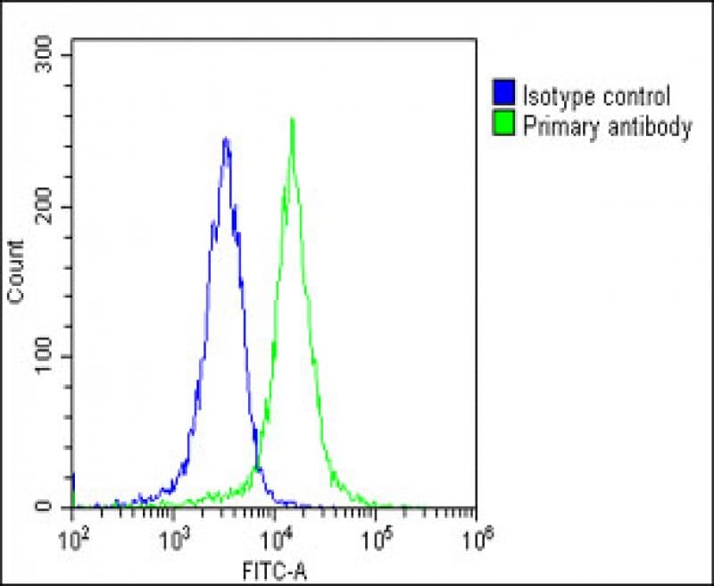 CCL26 / Eotaxin 3 Antibody (C-Terminus)