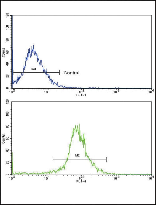 APRT Antibody (aa12-40)
