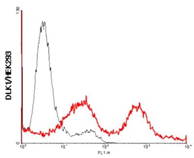 IHC-plus™ DLK1 / Pref-1 Antibody (Extracellular Domain, clone PF13-3)