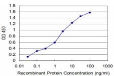 NMI Antibody (clone 9E8)
