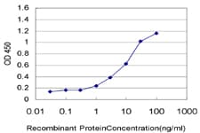 MED21 Antibody (clone 3E9)