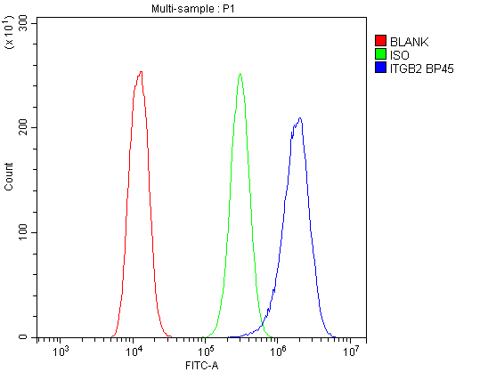 Polyclonal Rabbit anti-Human ITGB2 / CD18 Antibody (aa404-769, IHC, WB)