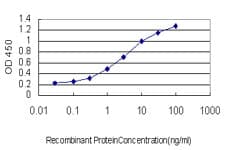 POMZP3 Antibody (clone 2E7)