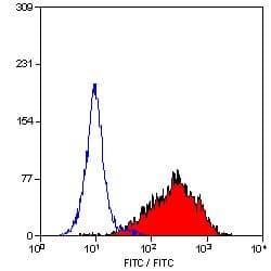 Fibroblasts + Epithelial Cells Antibody (clone D7-FIB)