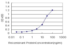 PLGLB2 / PLGLB1 Antibody (clone 3E6)