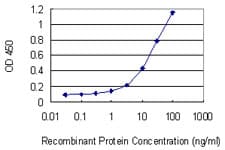 MAP2K2 / MKK2 / MEK2 Antibody (clone 8D10)