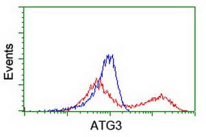 ATG3 Antibody (clone OTI4F6)