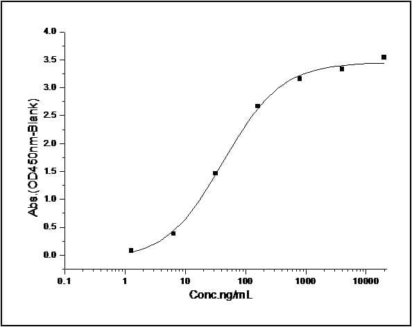 Human TGFB1 / TGF Beta 1 Protein (Recombinant His,C-terminus)