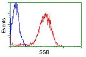 SSB / La Antibody (clone OTI3H9)