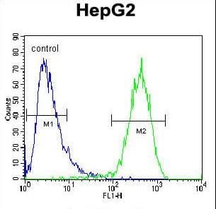ABCC10 Antibody (aa767-793)