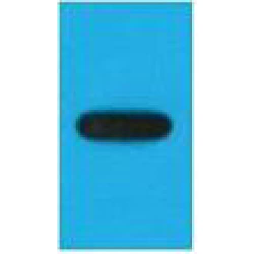 EYFP Antibody (clone Mix)