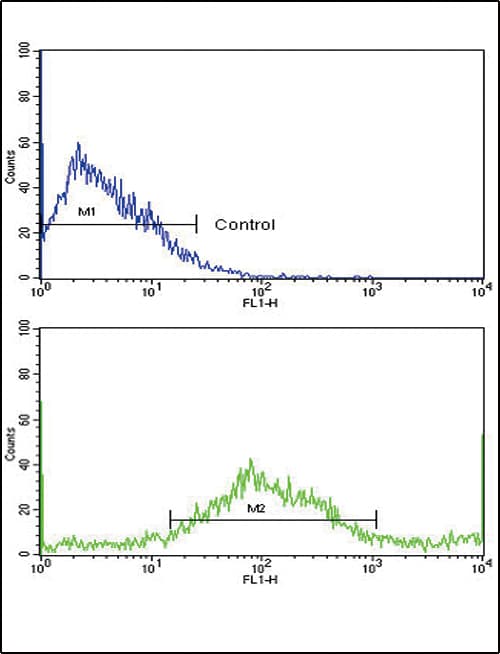 IHC-plus™ SAR1A / SAR1 Antibody (aa122-149)