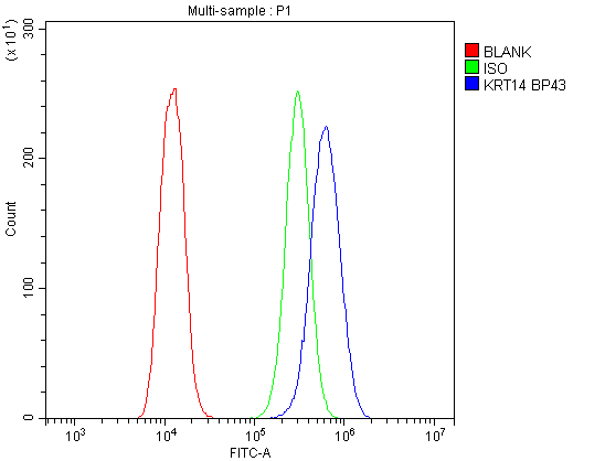 KRT14 / CK14 / Cytokeratin 14 Antibody