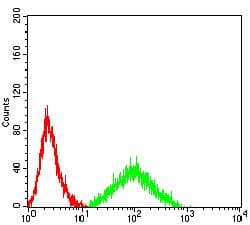 ABCB1 / MDR1 / P Glycoprotein Antibody (clone 4G6F4)
