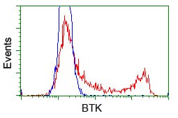 BTK Antibody (clone OTI1H7)