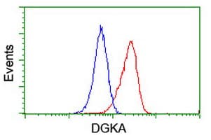 DGKA Antibody (clone OTI4A11, Carrier-free)