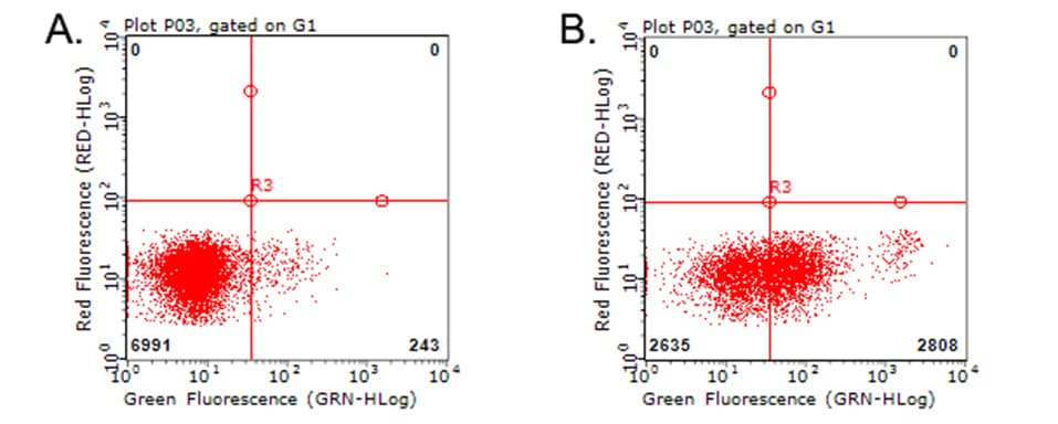 CD274 / B7-H1 / PD-L1 Antibody (clone OTI9E5)