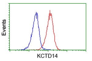 Monoclonal Mouse anti-Human KCTD14 Antibody (clone OTI3F5, IF, WB)
