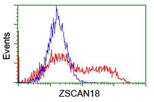 ZSCAN18 / ZNF447 Antibody (clone OTI2D3)