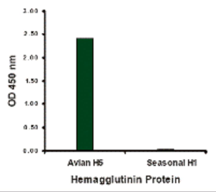 Polyclonal Goat anti-Virus Influenza A Virus Hemagglutinin Antibody