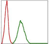 BMI1 / PCGF4 Antibody (clone 3000)