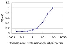 Monoclonal Mouse anti-Human RASEF Antibody (clone 2D5, IHC, WB)